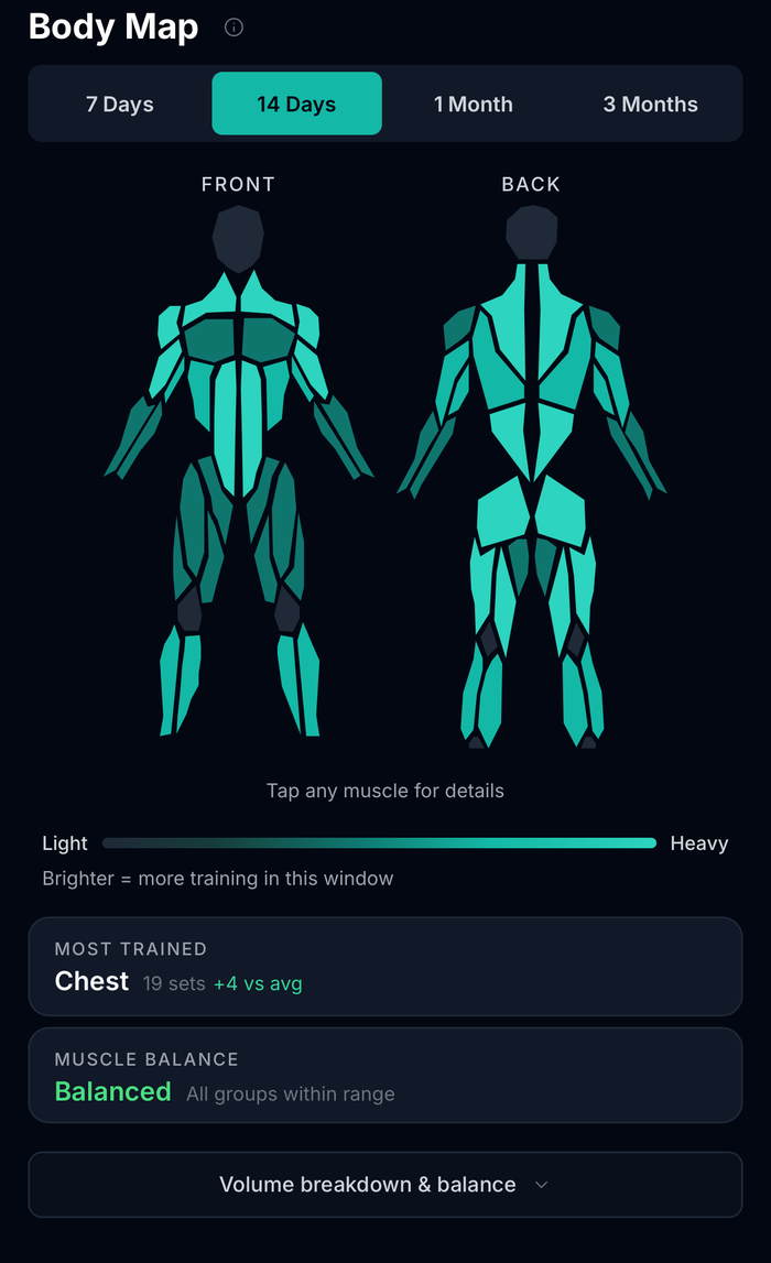 Via Fortis Body Map on the 14 day window. Chest at 19 sets, four above average, and muscle balance reads balanced with all groups within range.